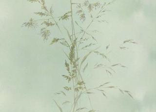 Фото - Обои Eijffinger Waterfront - 526548>