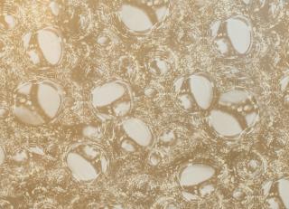 Фото - Обои Giardini I Giardini delle Meraviglie - 256013>