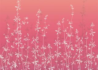 Фото - Обои Harlequin Callista Wallpapers - 301320>