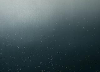 Фото - Обои Casamance Parallele - 556368>