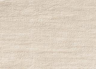 Фото - Ткани Dedar Paloma - 549805>