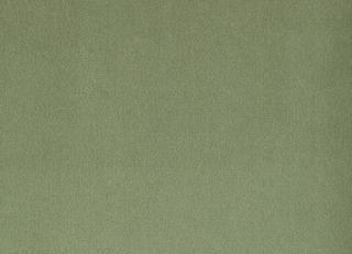 Фото - Ткани Foresti Home Collection Velluto di cotone Zeus - 563401>