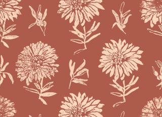 Фото - Обои Coordonne Lur - 580816>