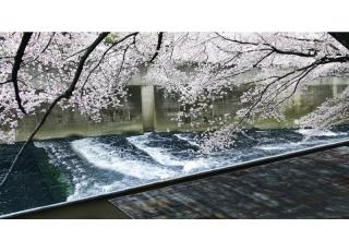 Фото - Ковры Tai Ping Kiso by Yabu Pushelberg - 507856>