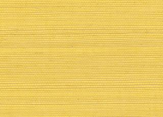 Фото - Обои Elitis Tribus - 621567>