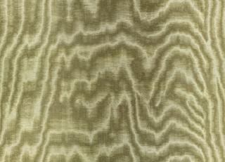 Фото - Ткани Zinc Jacopo II - 565366>