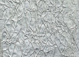 Фото - Обои Arlin Velawall - 342115>