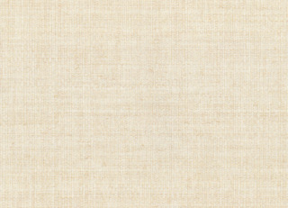 Фото - Обои Lizzo - 628150>