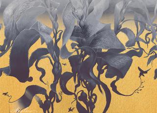 Фото - Обои для стен Applico - 513911>