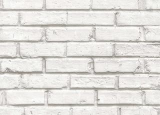 Фото - Обои Parato Cristiana Masi Friends & Coffee 2 - 581428>