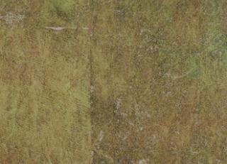 Фото - Обои Elitis Soleil levant - 469527>