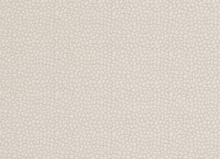 Фото - Ткани Clarke&Clarke Salon - 404767>