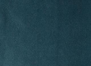 Фото - Ткани Foresti Home Collection Velluto di cotone Zeus - 563411>