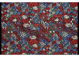 Фото - Ковры на пол Pinton - 493926>