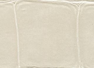 Фото - Обои Elitis Anguille - 257732>