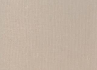 Фото - Обои Dedar Fitzcarraldo Metallo Wall - 580088>