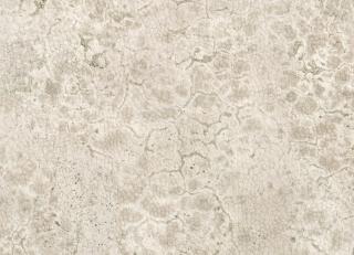 Фото - Обои Nobilis Diapason - 505336>