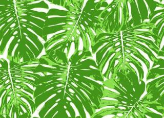 Фото - Обои Seabrook Tortuga - 434140>