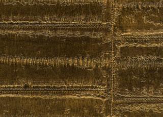 Фото - Обои Elitis Anguille - 257761>