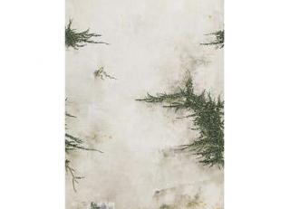 Фото - Обои Pierre Frey Galerie - 395336>