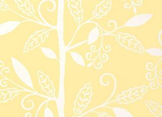 Фото - Обои Thibaut Filigree - 187772>