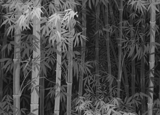 Фото - Обои Loymina Пейзаж - 609766>