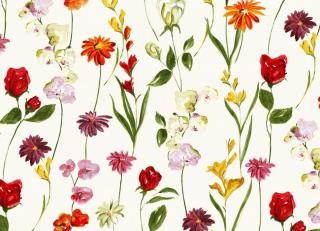 Фото - Ткани Thevenon Floraux - 342421>