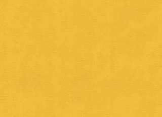 Фото - Ткани Lee Jofa Oscar de la Renta - 321978>