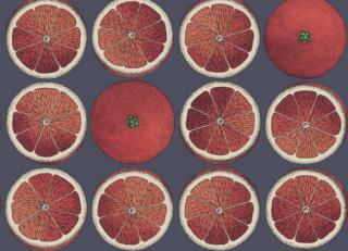 Фото - Обои Cole & Son Fornasetti Senza Tempo - 423532>