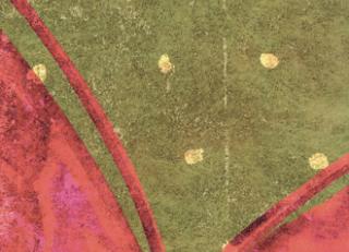 Фото - Обои Elitis Soleil levant - 469503>