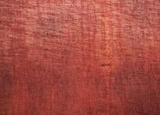 Фото - Обои Elitis Paradisio - 262175>