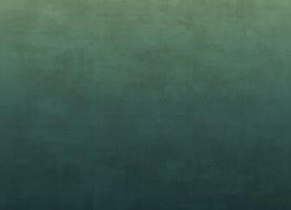 Фото - Обои Elitis Mille millions - 262053>