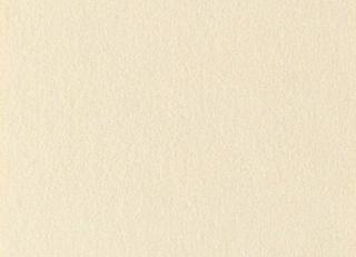 Фото - Ткани Chase Erwin Ultrasuede - 587270>