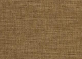 Фото - Ткани Clarke&Clarke Tussah & Seda - 362968>