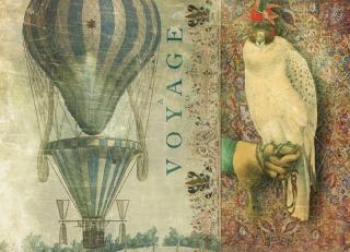 Фото - Обои Ortograf Эми Стюарт - 479987>