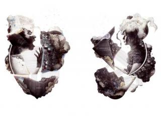 Фото - Обои Mr Perswall Expressions - 234748>