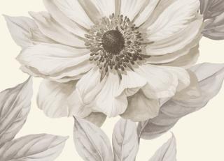 Фото - Обои Seabrook Lanai - 217673>