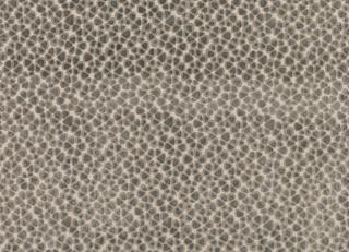 Фото - Ткани Villa Nova Martello - 258621>