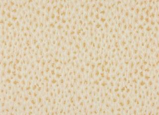 Фото - Ткани Manuel Canovas Viggo - 602669>