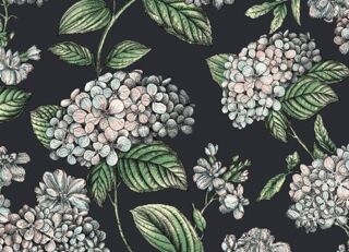 Фото - Обои Cole & Son Fornasetti Senza Tempo II - 626707>