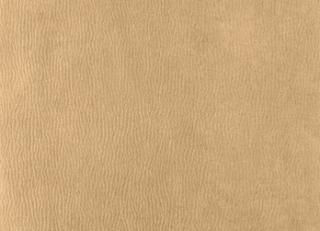 Фото - Ткани Houles Ginkgo - 465193>