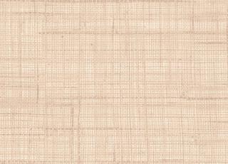 Фото - Обои Rubelli Paja Wall - 557961>