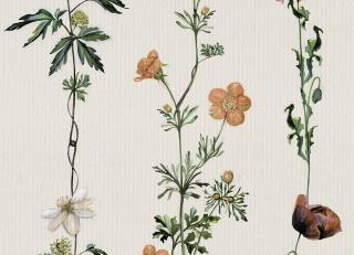 Фото - Обои Coordonne Naturae - 559396>