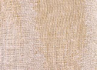 Фото - Ткани Foresti Home Collection Lago Trasimeno Jacquard - 612294>