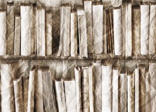 Фото - Обои Koziel - 323632>