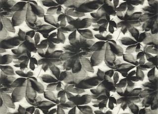 Фото - Ткани Harlequin Colour 4 Fabrics - 566921>