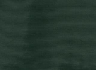 Фото - Обои Dedar Amoir Libre Wall - 580063>