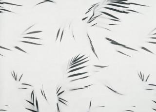 Фото - Обои Nobilis Stenope - 398172>