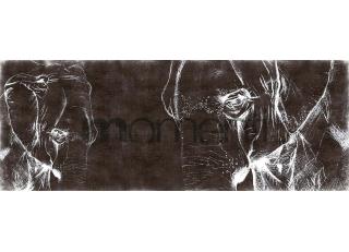 Фото - Обои Momenti Animal Collection - 317635>