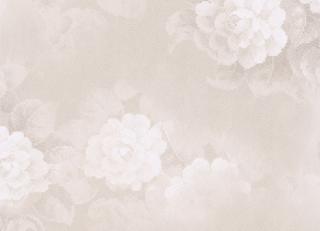 Фото - Бельгийские ткани для штор - 240690>